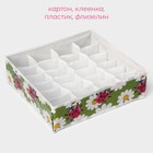 Органайзер для хранения белья Доляна «Божьи коровки», 24 ячейки, 30×33×10 см, зелёный - Фото 2