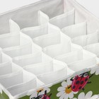 Органайзер для хранения белья Доляна «Божьи коровки», 24 ячейки, 30×33×10 см, зелёный - Фото 4