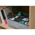 Органайзер для хранения белья Доляна «Фора», 12 ячеек, 32×24×12 см, серый - Фото 6