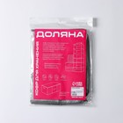 Кофр для хранения вещей Доляна «Фора», 45×30×20 см, серый - Фото 7