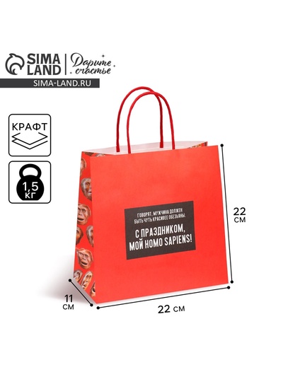 Пакет подарочный, упаковка, «Обезьяна», 22×22×11 см