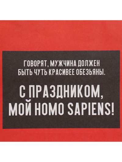 Пакет подарочный, упаковка, «Обезьяна», 22×22×11 см