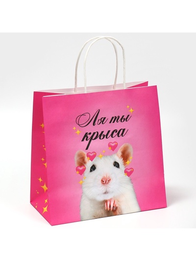 Пакет подарочный, упаковка, «Ля ты», 22×22×11 см