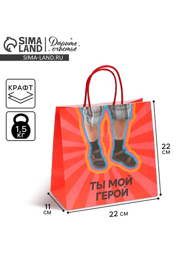 Пакет подарочный, упаковка, «Герой», 22×22×11 см