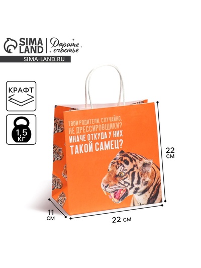 Пакет подарочный, упаковка, «Самец», 22×22×11 см