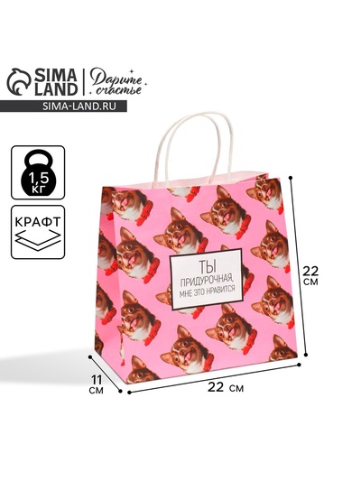 Пакет подарочный, упаковка, «Киса», 22×22×11 см