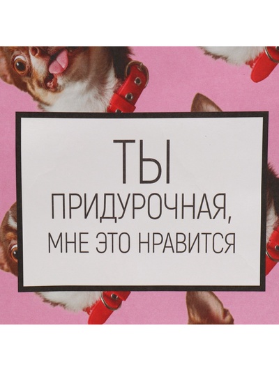 Пакет подарочный, упаковка, «Киса», 22×22×11 см