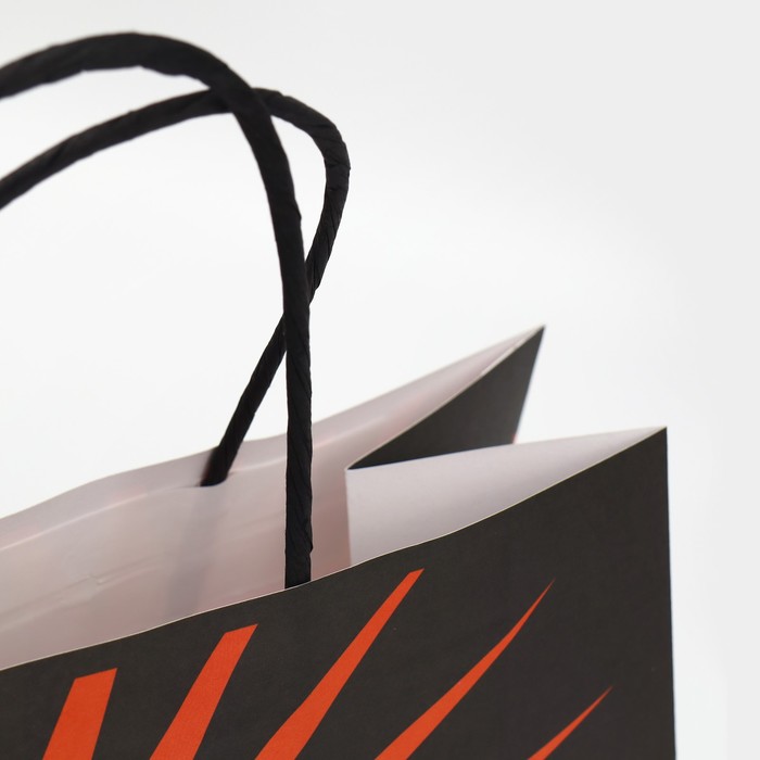 Пакет подарочный «Пивозавр», 22 х 22 х 11 см 7980140