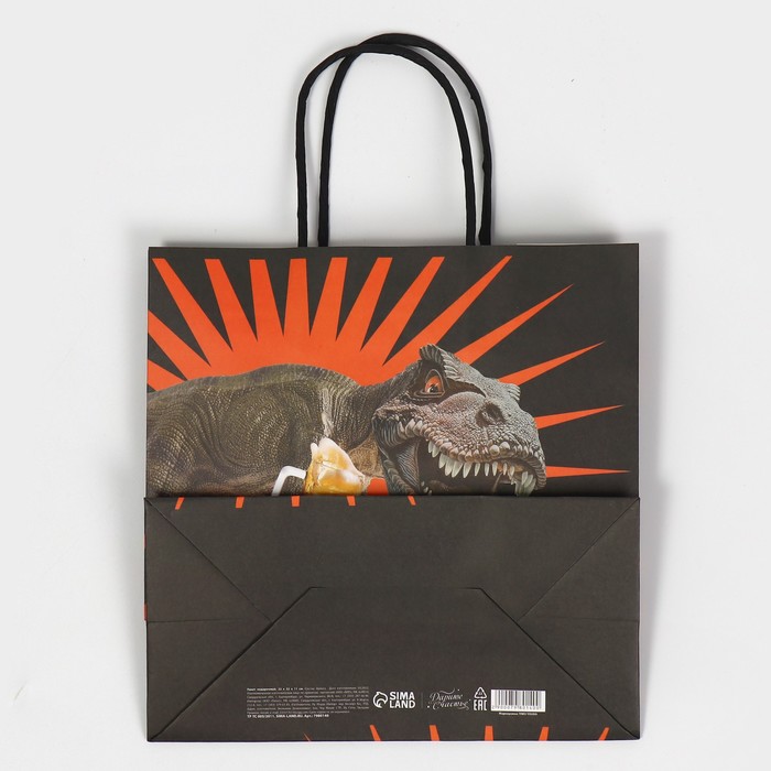 Пакет подарочный «Пивозавр», 22 х 22 х 11 см 7980140