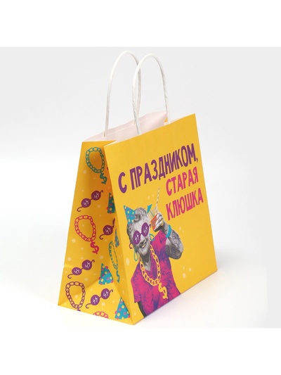 Пакет подарочный «Старая клюшка», 22×22×11 см