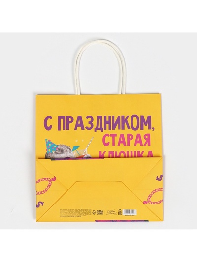 Пакет подарочный «Старая клюшка», 22×22×11 см