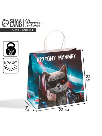 Пакет подарочный, упаковка, «Мужику», 22 х 22 х 11 см