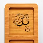Менажница деревянная «Вкус в деталях», 10 х 29 см - Фото 2