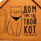 Менажница деревянная «Дом там, где твой кот», 24 х 21 см - фото 4359000