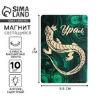 Магнит флуоресцентный «Урал», 8×5.5 см - Фото 1