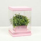 Коробка для цветов с вазой и PVC окнами складная, розовый, 16 х 23 х 16 см - фото 11078476