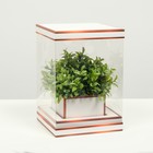 Коробка для цветов с вазой и PVC окнами складная, бронза, 16 х 23 х 16 см - фото 9908957