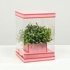 Коробка для цветов с вазой и PVC окнами складная, насыщенно-розовый, 16 х 23 х 16 см - Фото 1