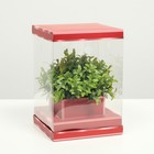Коробка для цветов с вазой и PVC окнами складная, красный, 16 х 23 х 16 см - фото 9908966