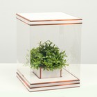 Коробка для цветов с вазой и PVC окнами складная, бронза, 23 х 30 х 23 см - фото 319004665