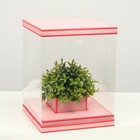 Коробка для цветов с вазой и PVC окнами складная, насыщенно-розовый, 23 х 30 х 23 см - фото 9908975