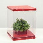 Коробка для цветов с вазой и PVC окнами складная, красный, 23 х 30 х 23 см - фото 6670779