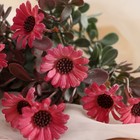 Букет искусственный «Остеоспермум брайт», h=27 см, МИКС (комплект 2 шт) - фото 25271928