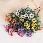 Букет искусственный «Остеоспермум брайт», h=27 см, МИКС (комплект 2 шт) - фото 25271929