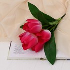 Букет "Тюльпаны махровые" 26 см, микс - Фото 1