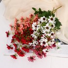 Букет искусственный «Рудбекия волосистая», h=40 см, МИКС (комплект 2 шт) - фото 22839010 Букет искусственный «Рудбекия волосистая», h=40 см, МИКС (комплект 2 шт) - фото 22839010