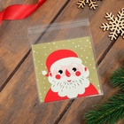 Пакет подарочный новогодний БОПП с липкой лентой, «Портрет», 10×11 см - Фото 4