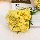 Цветы искусственные "Астра пышная" 7х55 см, жёлтый - фото 24242999 Цветы искусственные "Астра пышная" 7х55 см, жёлтый - фото 24242999