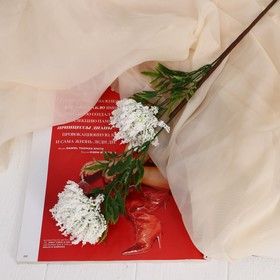 Цветы искусственные 'Астра пышная' 7х55 см, белый