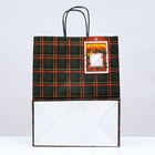 Пакет бумажный подарочный новогодний крафт «Зелёная клетка» 22×12×27 см 9038721