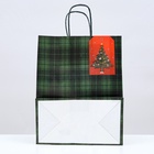 Пакет подарочный новогодний крафт «Зелёная клеточка» 22×12×27 см 9038722