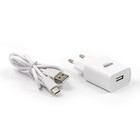 Сетевое зарядное устройство BYZ TU8, USB, 2.1 А, кабель Type-C, 1 м, белое - фото 9909924