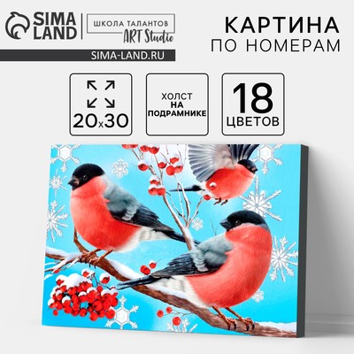 Картина по номерам на холсте с подрамником «Новый год! Снегири на ветке», 20×30 см