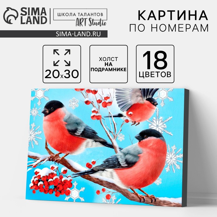 Картина по номерам на холсте с подрамником «Новый год! Снегири на ветке», 20×30 см - Фото 1
