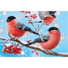 Картина по номерам на холсте с подрамником «Новый год! Снегири на ветке», 20×30 см - Фото 2