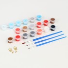 Картина по номерам на холсте с подрамником «Новый год! Снегири на ветке», 20×30 см - Фото 4