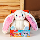 Мягкая игрушка «Мой зайка», цветные ушки, 25 см - Фото 5