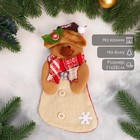 Носок для подарков «Лосяш с ягодкой» 11×26 см, коричневый - Фото 1