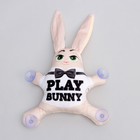 Автоигрушка на присосках Play bunny - фото 3879156