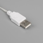 Неоновая вывеска «Сердце» 20 × 20 см, батарейки ААх3 (не в комплекте), USB, свечение розовое 7989803 - фото 16271764