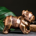 Фигура "Бульдог ортогональный" бронза, 14х19см - фото 61023282