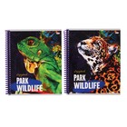 Тетрадь 96 листов в клетку на гребне "Жизнь дикой природы", обложка мелованный картон, блок офсет 9206080 - фото 9912271