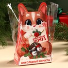 УЦЕНКА Подарочные шоколадные конфеты «Новогодняя почта», 150 гр - Фото 5