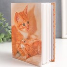 Фотоальбом на 100 фото 10х15 см "Рыжий котёнок" - фото 24628433