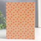 Фотоальбом на 100 фото 10х15 см "Рыжий котёнок" - фото 24628434