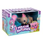 Уценка Интерактивная игрушка «Мой питомец», собачка, со световыми и звуковыми эффектами - Фото 6